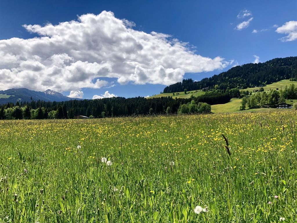 Pension Heidelberg - Fam Fuchs Hopfgarten im Brixental Bagian luar foto
