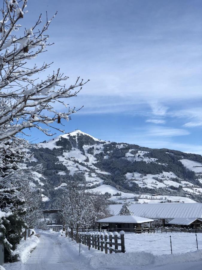 Pension Heidelberg - Fam Fuchs Hopfgarten im Brixental Bagian luar foto